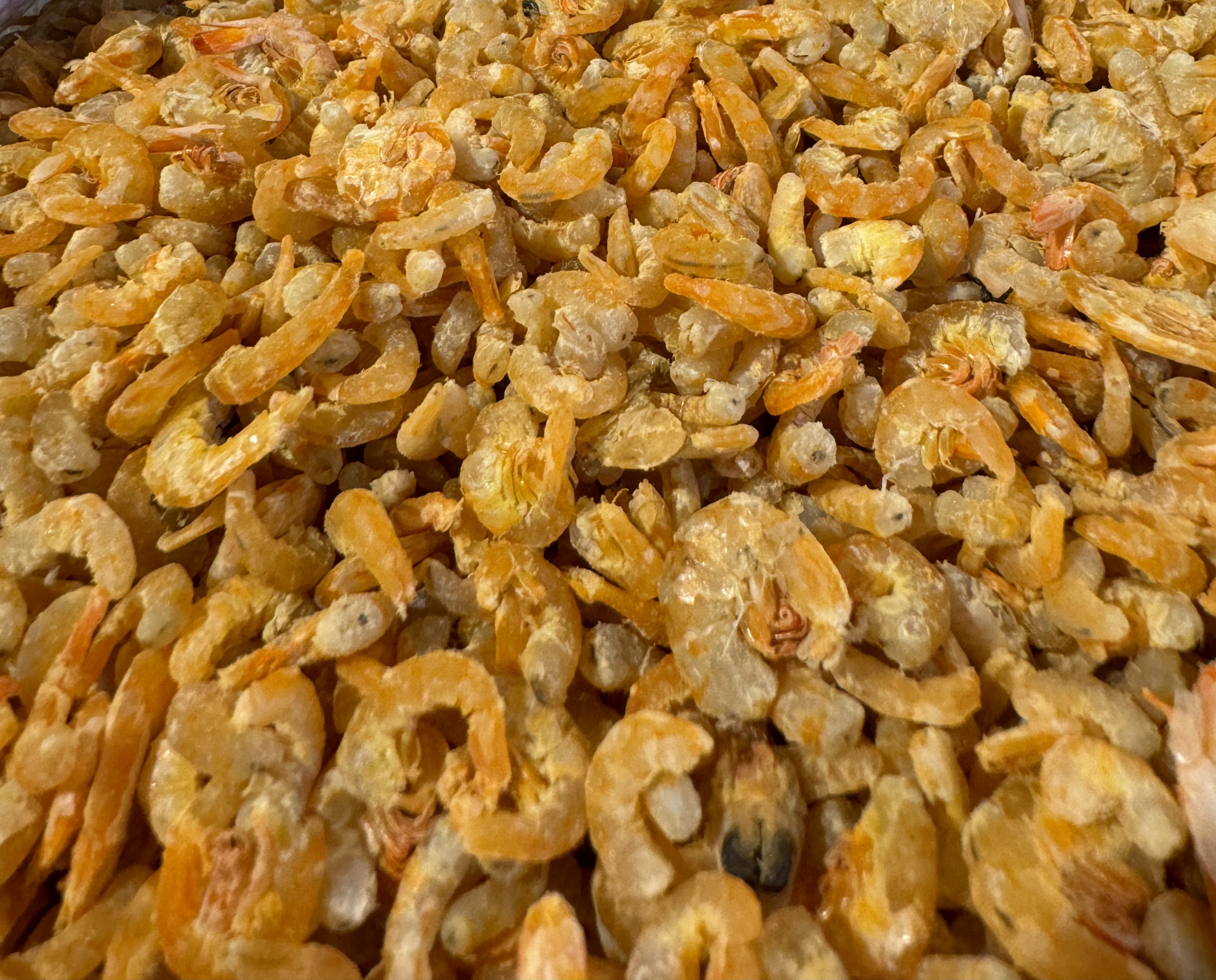 میگو خشک آجیلی